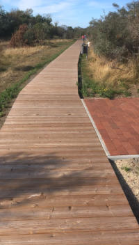 Holzbohlenweg im Nord-Ost-Land